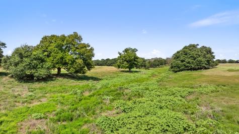 131 Elberta Street Stonewall TX 78671