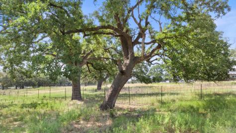 131 Elberta Street Stonewall TX 78671