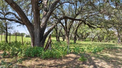 131 Elberta Street Stonewall TX 78671