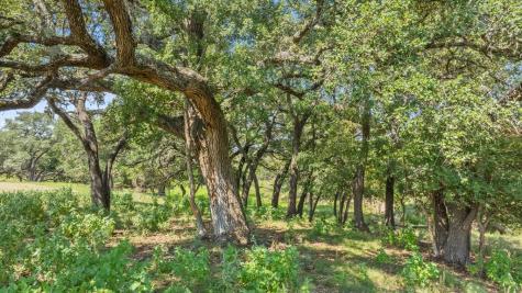 131 Elberta Street Stonewall TX 78671