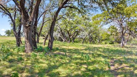131 Elberta Street Stonewall TX 78671