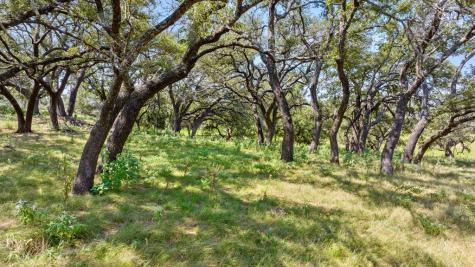 131 Elberta Street Stonewall TX 78671
