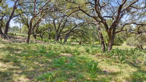 131 Elberta Street Stonewall TX 78671