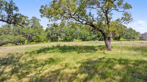 131 Elberta Street Stonewall TX 78671