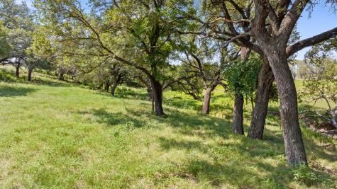 131 Elberta Street Stonewall TX 78671