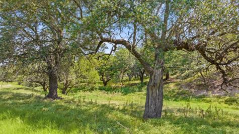 131 Elberta Street Stonewall TX 78671