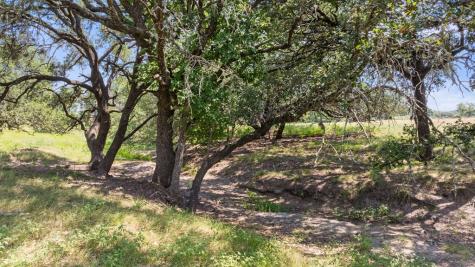 131 Elberta Street Stonewall TX 78671