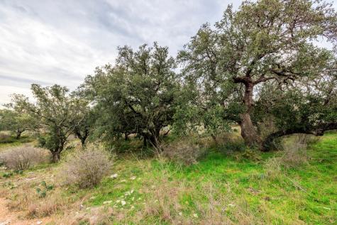 256 Persimmon Point Mason TX 76856