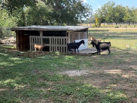 385 Ranch Road 1 Stonewall TX 78671