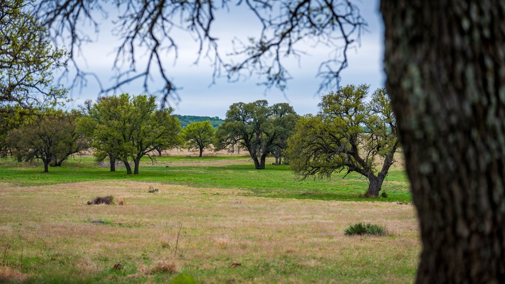 348 Blau Lane Menard TX 76848