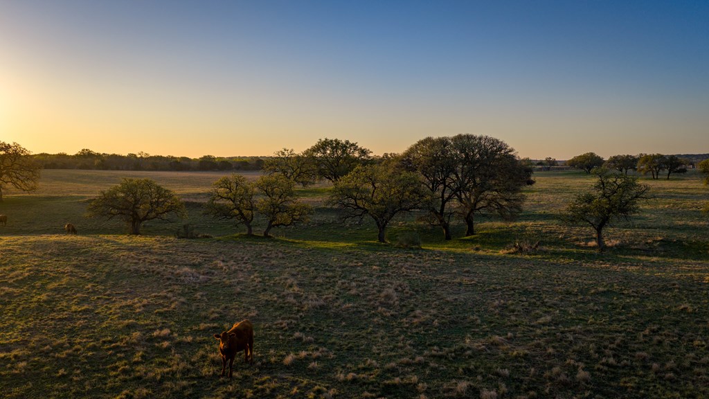 348 Blau Lane Menard TX 76848