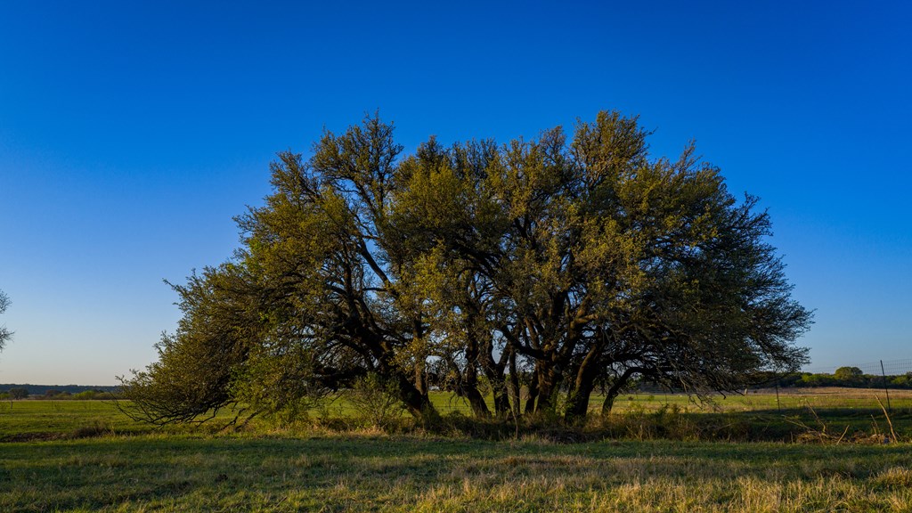 348 Blau Lane Menard TX 76848