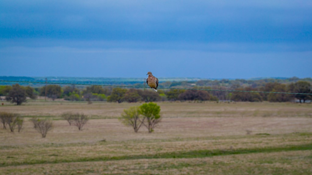 348 Blau Lane Menard TX 76848