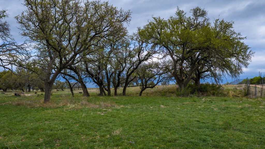348 Blau Lane Menard TX 76848