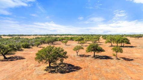 2560 Towhead Valley Road Johnson City TX 78636