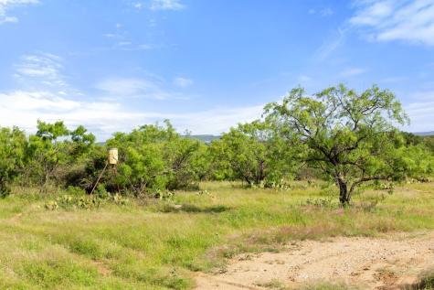 6304 County Road 110 Llano TX 78643