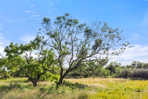 6304 County Road 110 Llano TX 78643