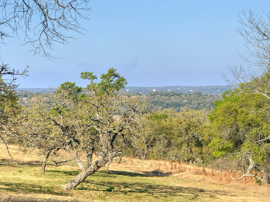 0016 Premier View Drive Fredericksburg TX 78624