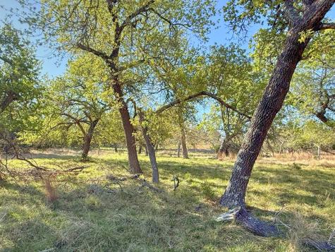 0016 Premier View Drive Fredericksburg TX 78624
