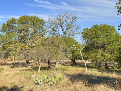 0016 Premier View Drive Fredericksburg TX 78624