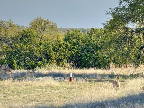 0016 Premier View Drive Fredericksburg TX 78624