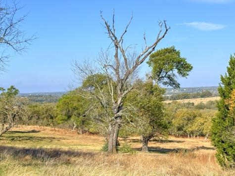 0016 Premier View Drive Fredericksburg TX 78624