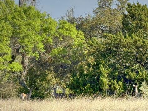 0016 Premier View Drive Fredericksburg TX 78624