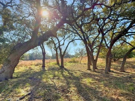 0016 Premier View Drive Fredericksburg TX 78624