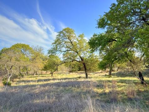 0016 Premier View Drive Fredericksburg TX 78624