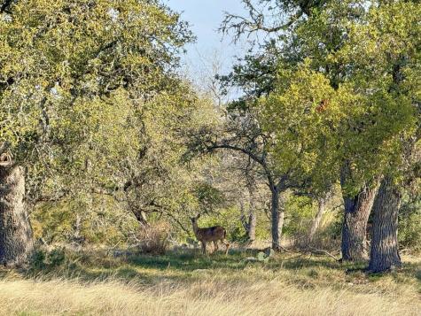0016 Premier View Drive Fredericksburg TX 78624