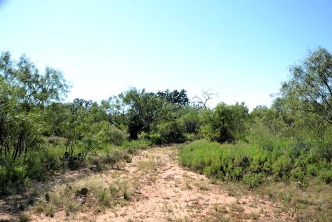 507 Buckhorn Drive London TX 76854