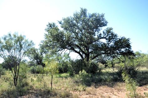 507 Buckhorn Drive London TX 76854