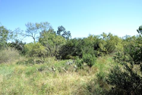 507 Buckhorn Drive London TX 76854