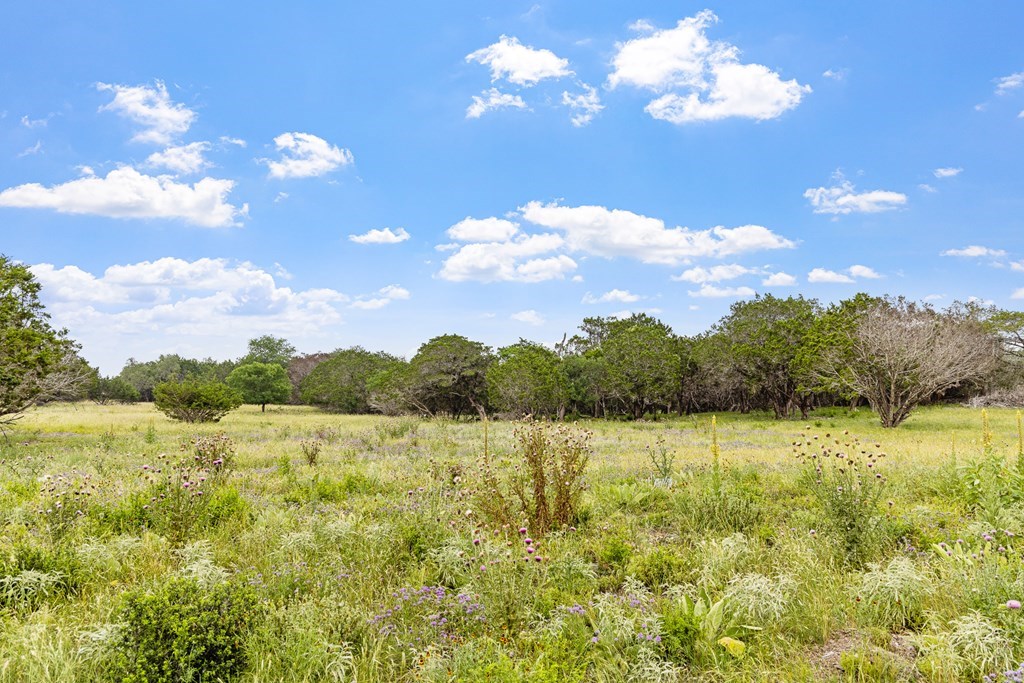 Lot 6 Coldwater Drive Camp Verde TX 78010