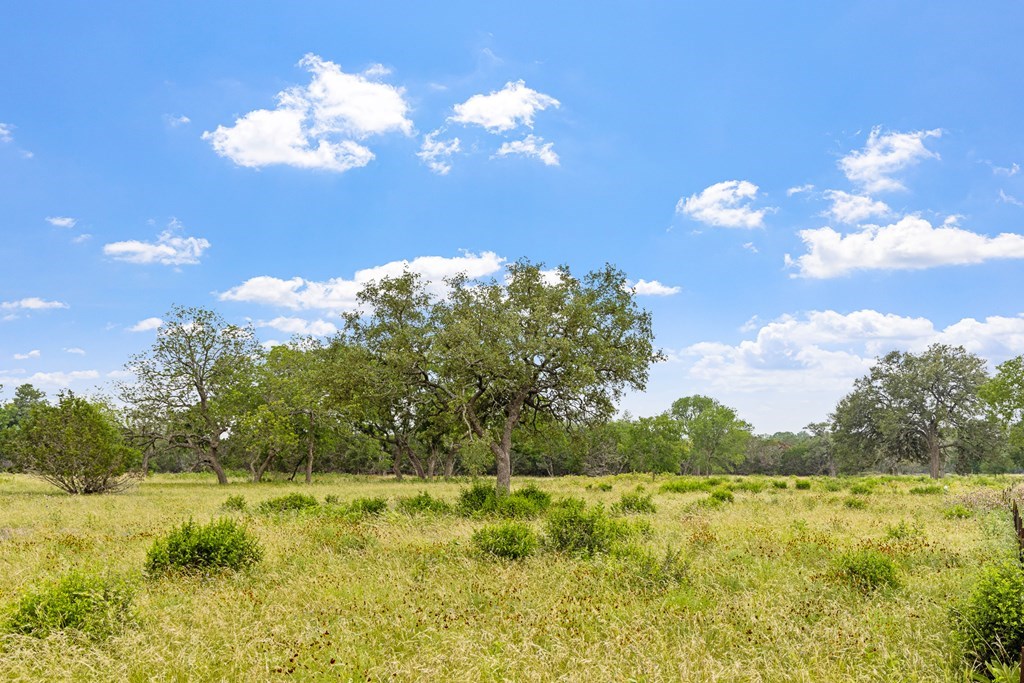 Lot 6 Coldwater Drive Camp Verde TX 78010