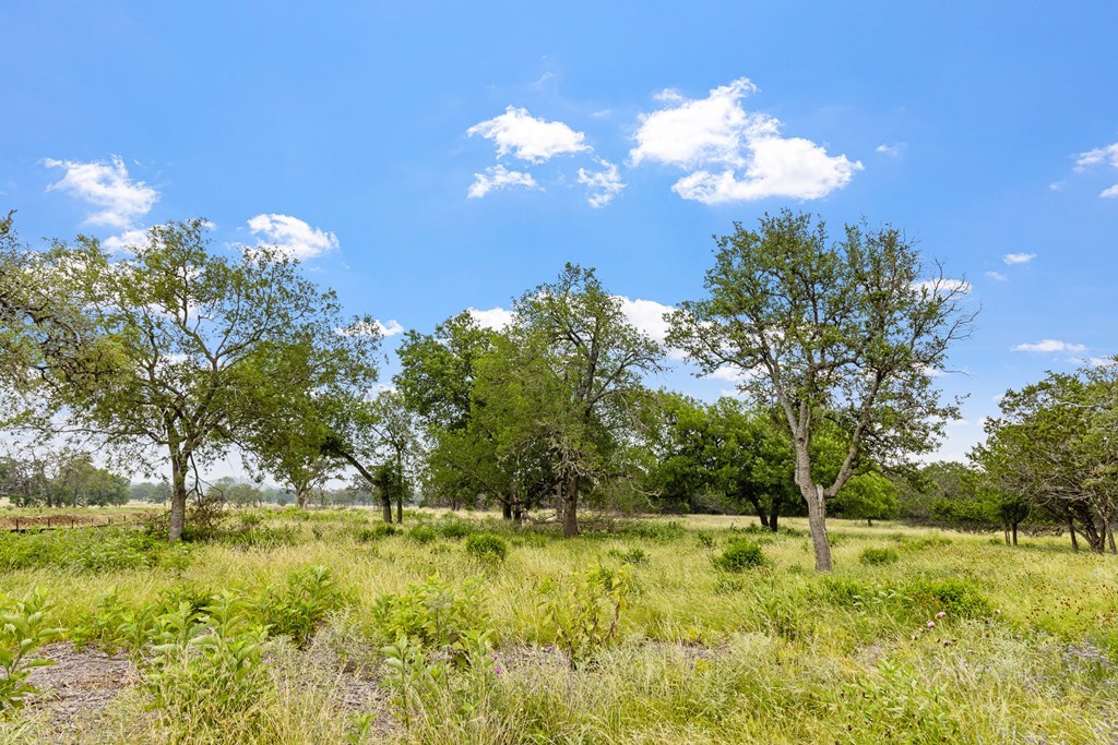 Lot 6 Coldwater Drive Camp Verde TX 78010
