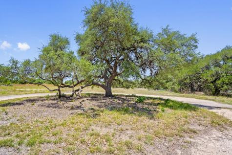 140 Lantana Johnson City TX 78636