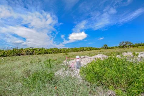 8940 S Ranch Road 783 Fredericksburg TX 78624