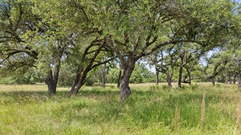 997 Sandy Oaks Ranch Road Johnson City TX 78636