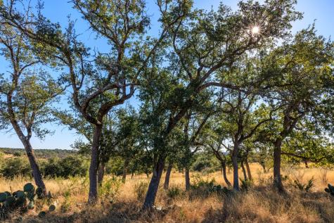 Lot 20 Mayers Ridge Drive Kerrville TX 78028