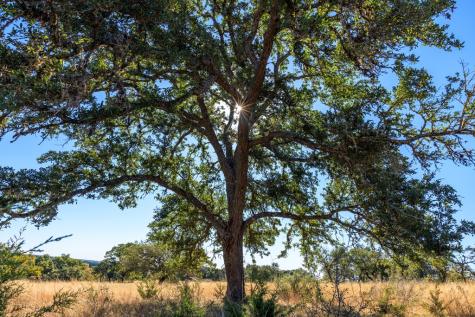 Lot 20 Mayers Ridge Drive Kerrville TX 78028