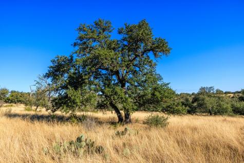 Lot 20 Mayers Ridge Drive Kerrville TX 78028