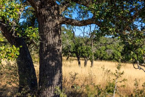 Lot 20 Mayers Ridge Drive Kerrville TX 78028