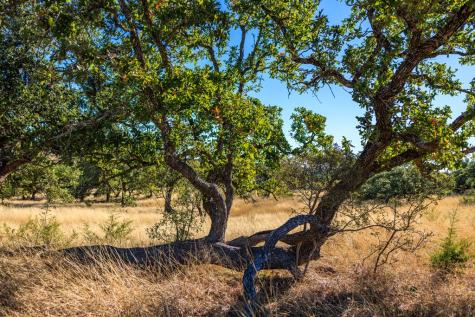 Lot 20 Mayers Ridge Drive Kerrville TX 78028