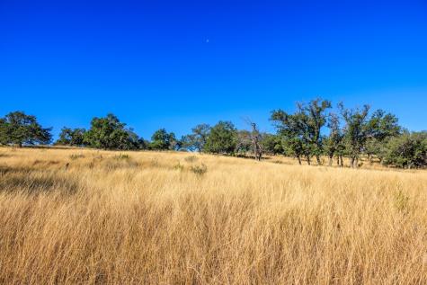 Lot 20 Mayers Ridge Drive Kerrville TX 78028