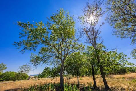 Lot 9 The Views Boulevard Fredericksburg TX 78624