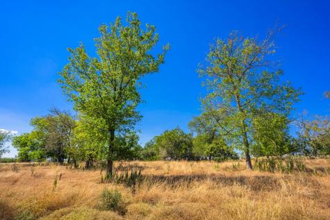 Lot 9 The Views Boulevard Fredericksburg TX 78624