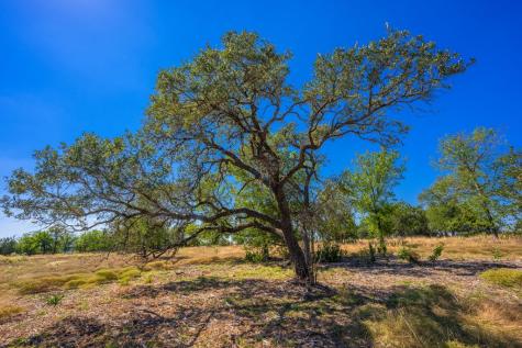 Lot 9 The Views Boulevard Fredericksburg TX 78624