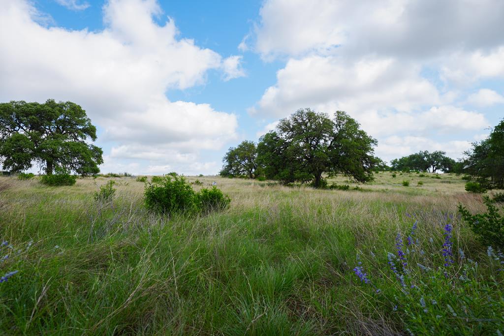 Lot 65 S Walcott Ridges Drive Kerrville TX 78028