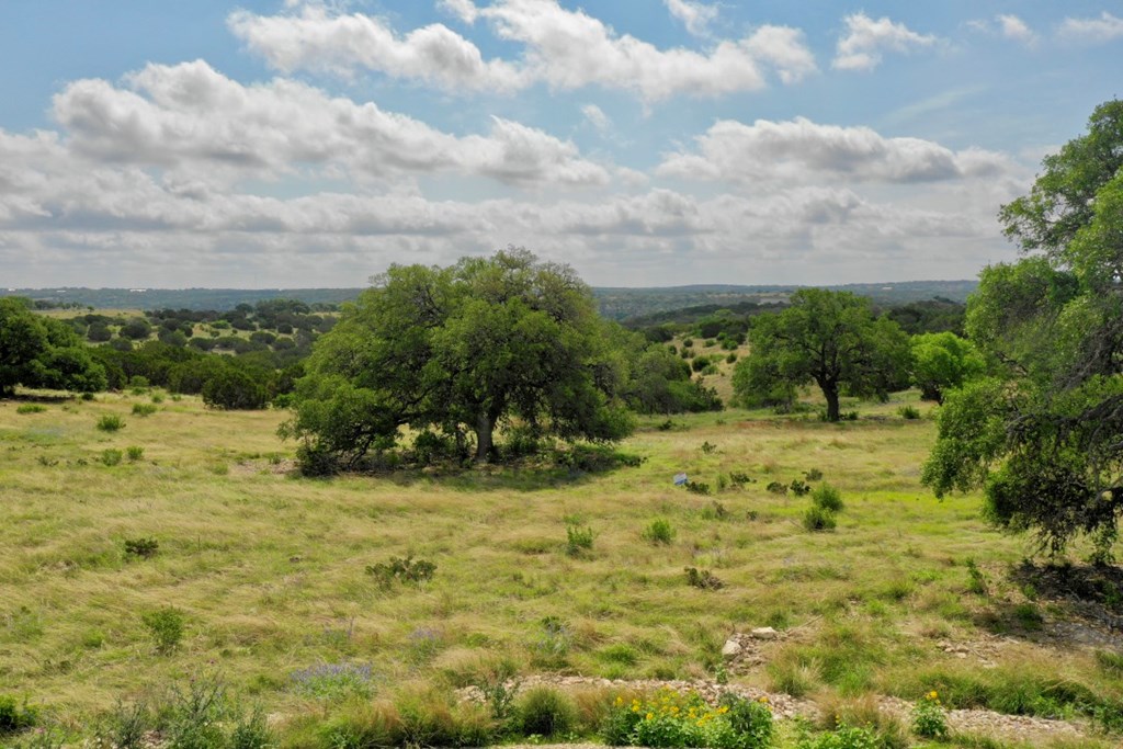 Lot 65 S Walcott Ridges Drive Kerrville TX 78028